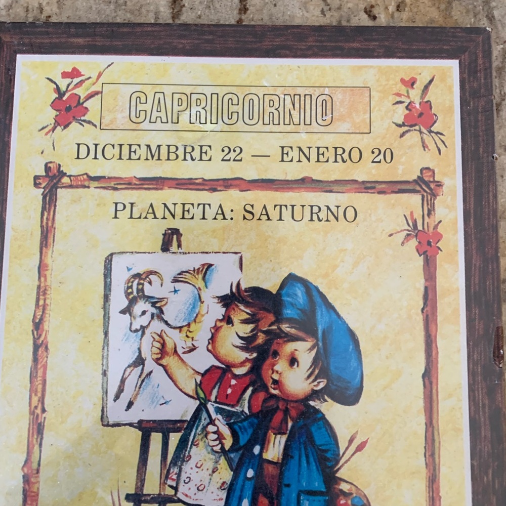 Vintage Capricorn Astrology Art en Espanol NWOT